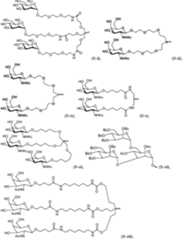 Figure imgf000062_0001