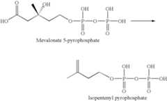 Figure US07192751-20070320-C00007