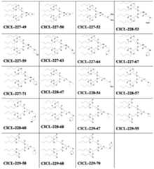 Figure imgf000170_0001