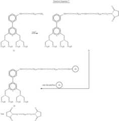 Figure US06242268-20010605-C00020