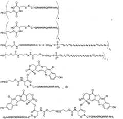 Figure GPA00001105858500291