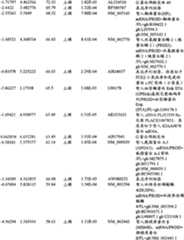 Figure BPA00001280678303331