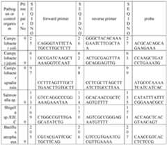 Figure imgf000024_0001