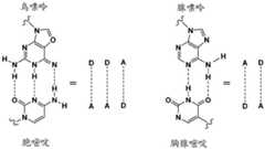 Figure BDA0003289381690000071