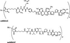 Figure imgf000019_0002