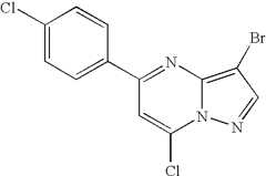 Figure US07119200-20061010-C00839