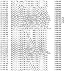 Figure imgf000146_0001