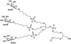 Figure BDA0003018192690003171