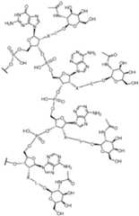 Figure imgf000089_0001