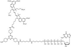 Figure imgf000080_0001