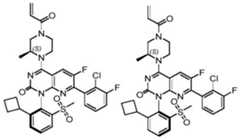 Figure BDA0002861043520000892