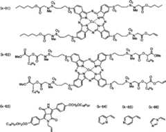 Figure A20071010737500681