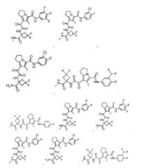 Figure imgf000009_0001