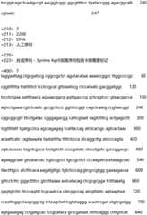 Figure IDA0003468176770000071