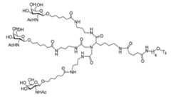 Figure 2023012548000426