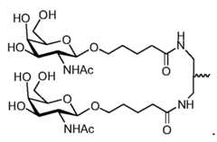 Figure imgf000143_0004