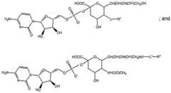 Figure imgf000037_0002