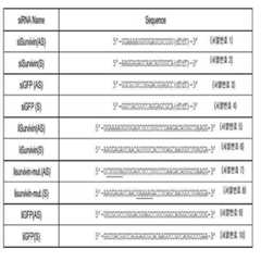 Figure 112011040568740-pat00001