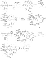 Figure imgf000266_0001