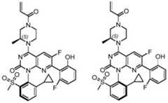 Figure BDA0002861043520000732
