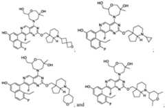 Figure imgf000029_0001