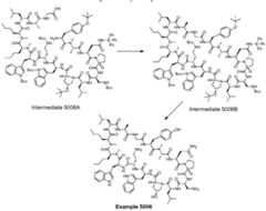 Figure imgf000078_0001
