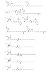 Figure 2023500681000164