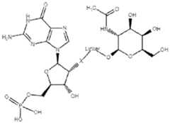 Figure imgf000087_0001