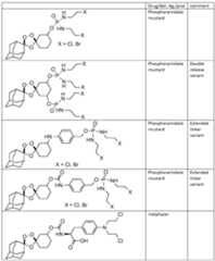 Figure imgf000177_0001