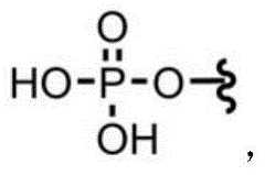 Figure BDA0003670511740000531