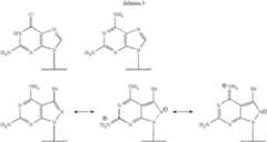 Figure US07238795-20070703-C00040