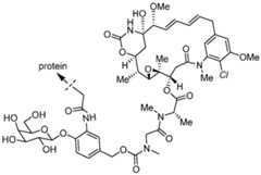 Figure imgf000115_0001