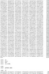 Figure IDA0002536600790000181