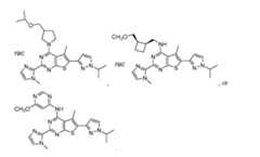 Figure imgf000370_0001