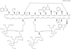 Figure US08278274-20121002-C00022