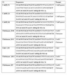 Figure imgf000022_0002