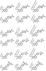 Figure BDA0003317070080000031