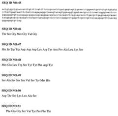 Figure 112010030638814-pct00067