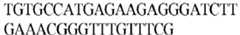 Figure imgb0392