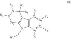 Figure US09310374-20160412-C00002