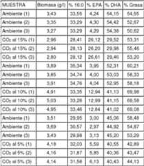 Figure imgf000036_0001