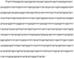 Figure PCTCN2021139177-appb-000005