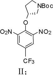 Figure BDA0000070030420000201