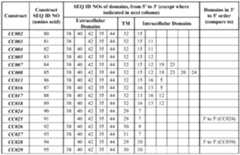 Figure PCTCN2022073808-appb-000057