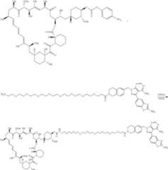 Figure US11364300-20220621-C00881