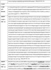 Figure imgf000208_0001