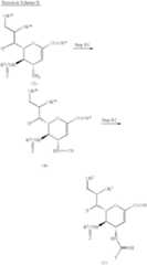 Figure US06451766-20020917-C00010