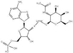 Figure imgf000061_0001