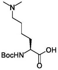 Figure BDA0004113777320002032