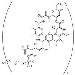 Figure imgf000101_0001
